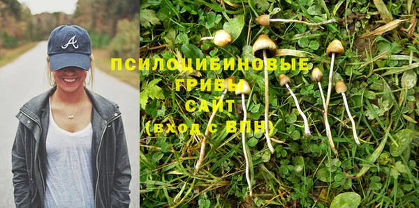 спайс Аркадак