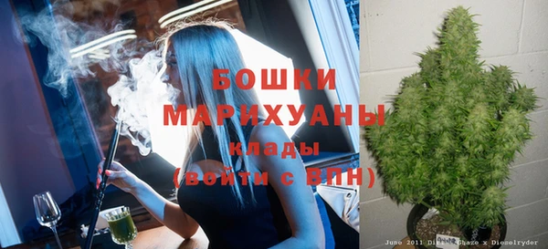 индика Семёнов