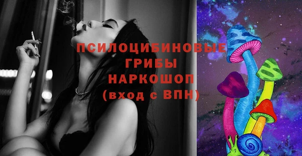 спайс Аркадак