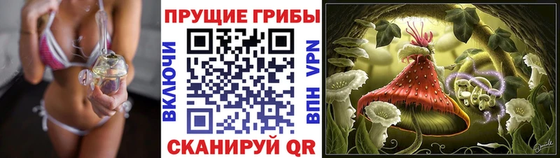 Галлюциногенные грибы ЛСД  что такое наркотик  blacksprut ссылки  Новозыбков 